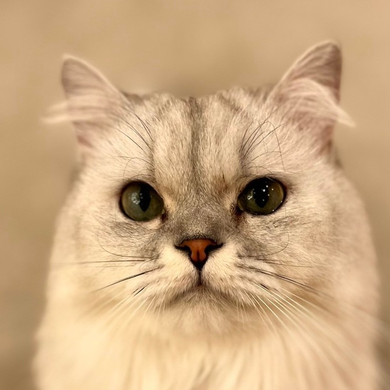 夕